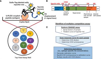 Novel antibody competition binding assay identifies distinct serological profiles associated with protection